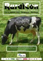 Cartaz_RuralCon2011_1